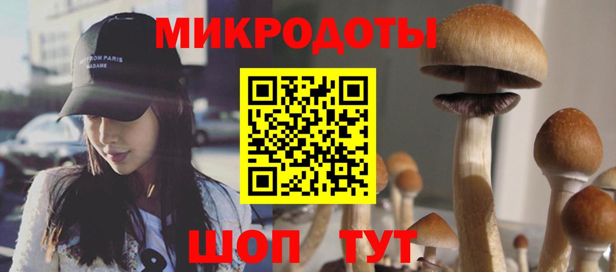 Галлюциногенные грибы Psilocybe  Галлюциногенные грибы Psilocybe  Краснокаменск  Вход с VPN 